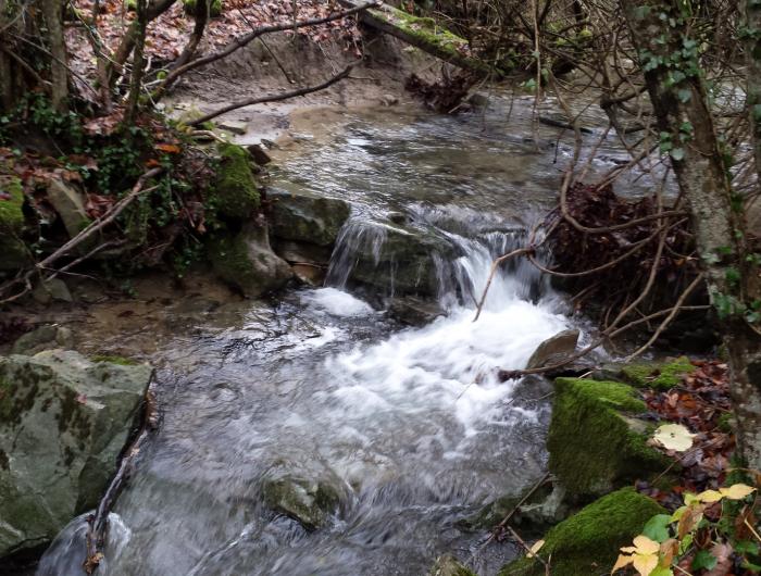 Riseva naturale dell Alpe della Luna e Parco nazione del Sasso